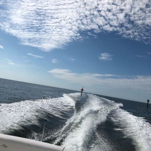 Meet your Posher, Linny